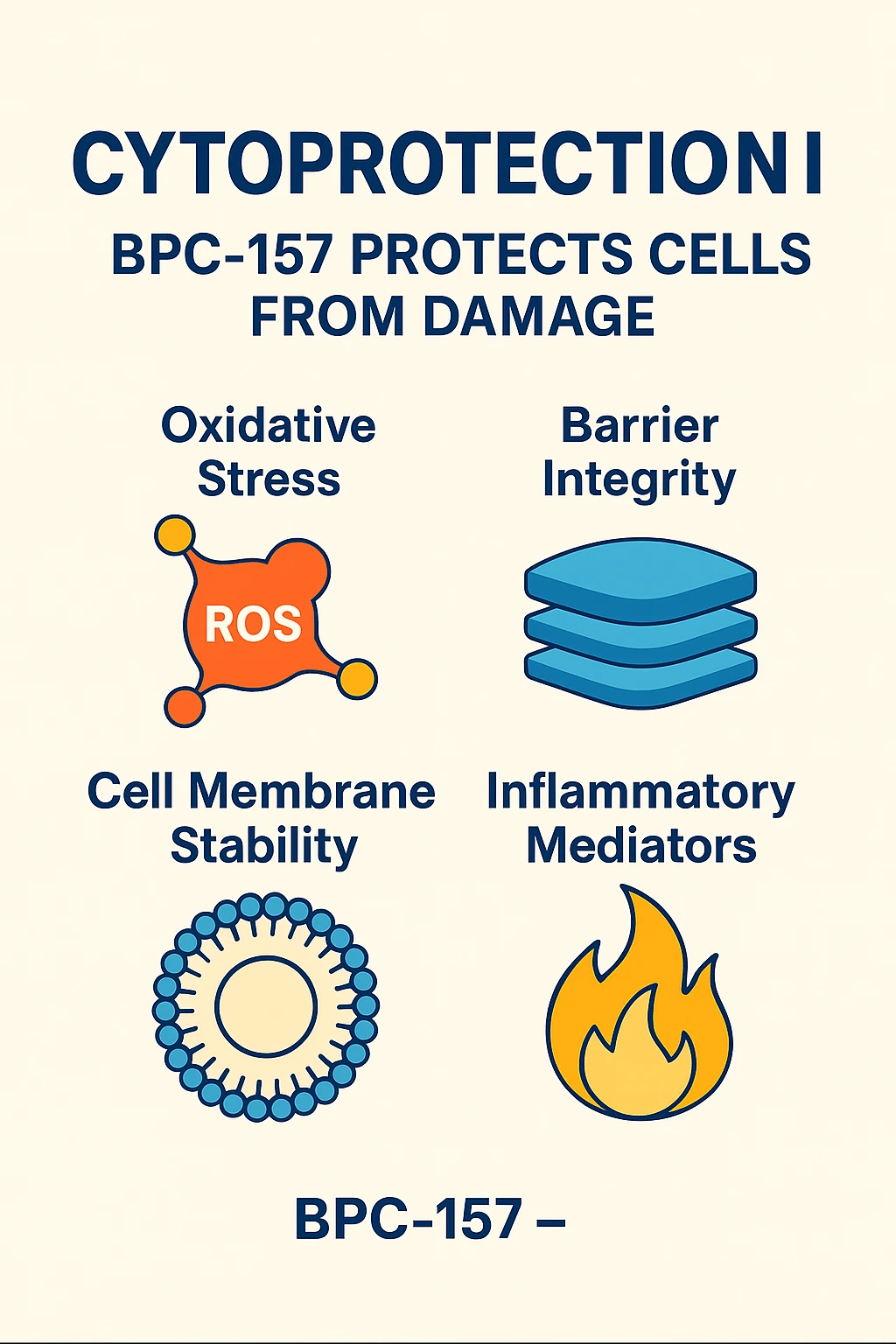 Oxidative stress, barrier integrity, cell membranes and inflammatory mediator icons in a BPC-157 research graphic.