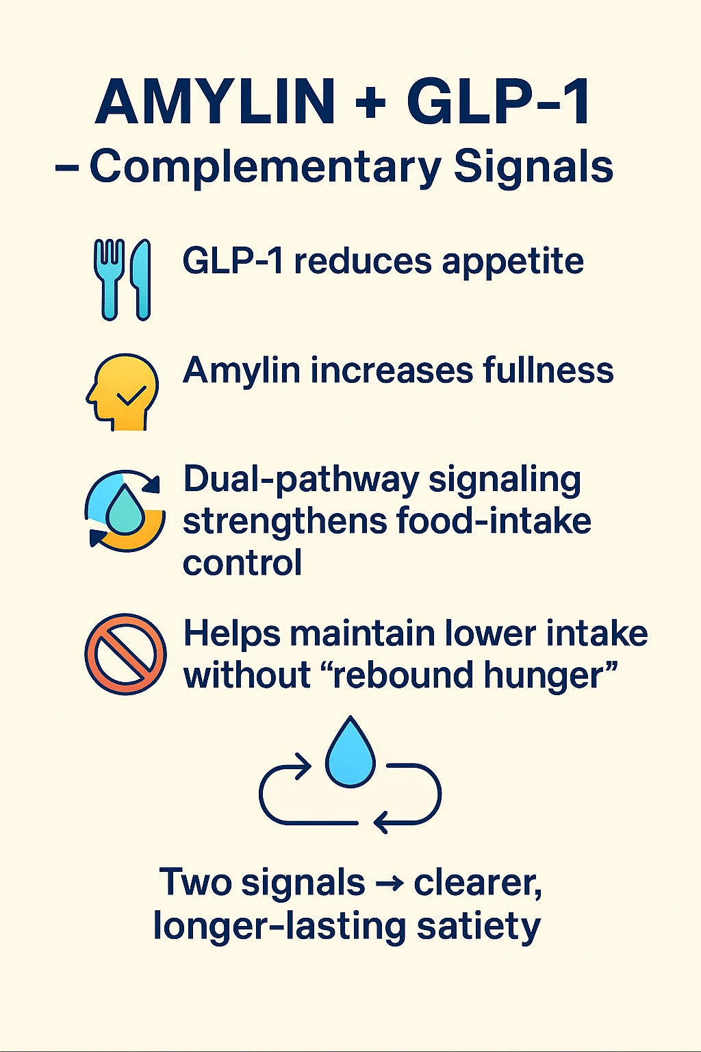 Amylin and GLP-1 depicted as complementary meal-size and appetite signals.