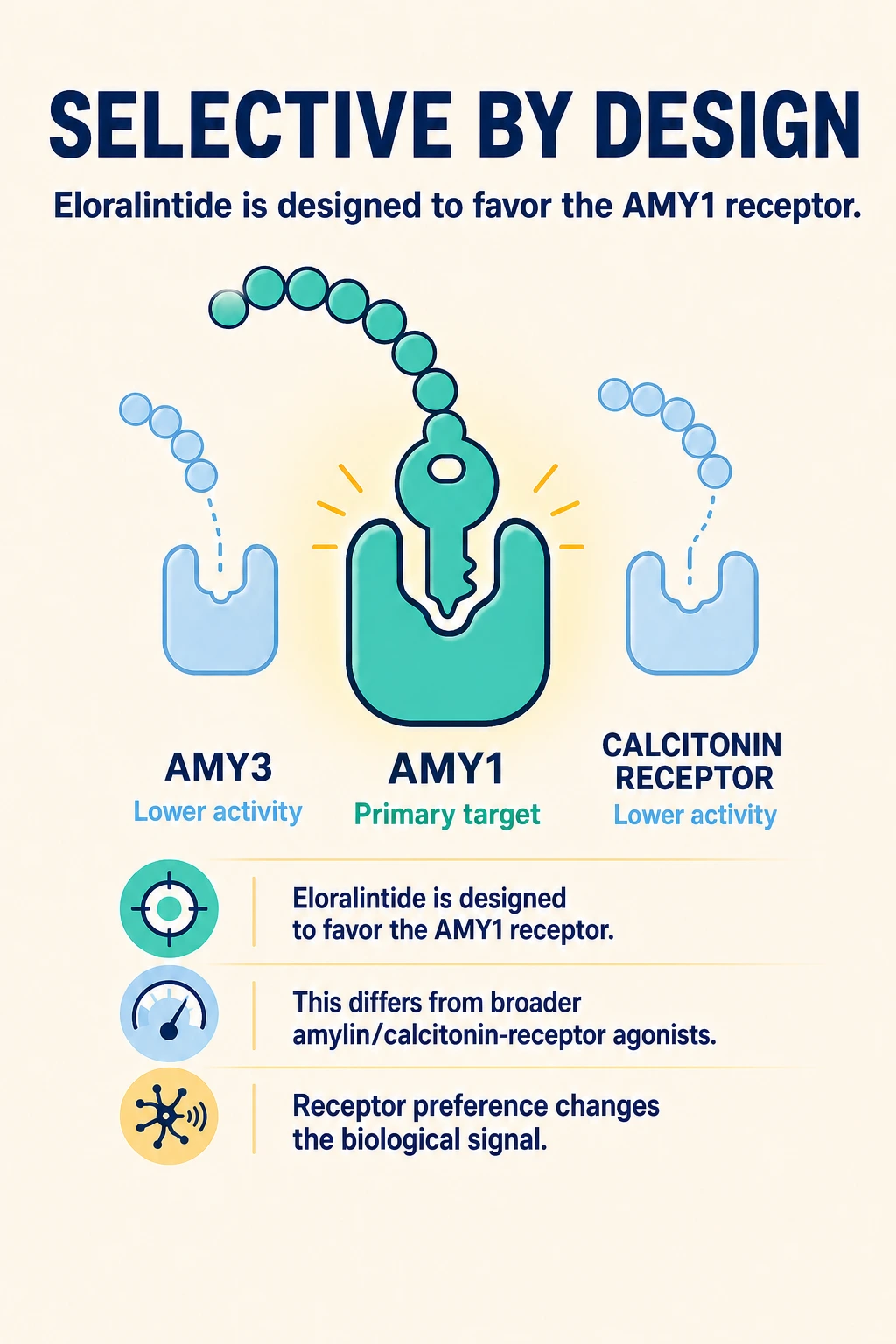 Eloralintide receptor-selectivity illustration highlighting AMY1 alongside AMY3 and the calcitonin receptor.