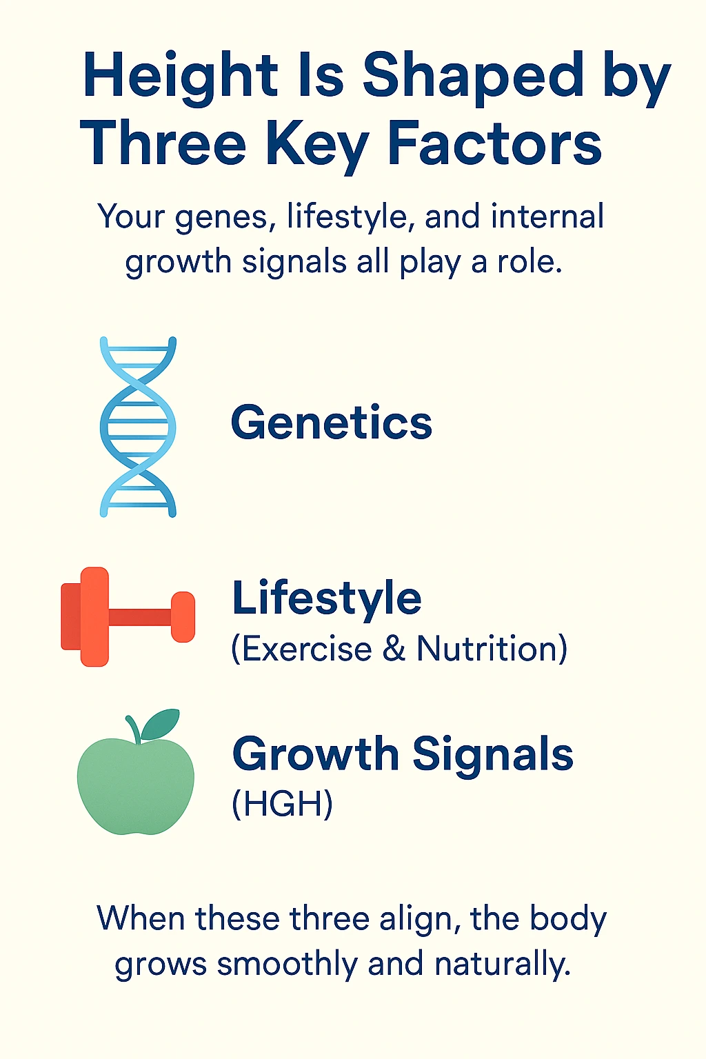 Genetics, lifestyle and growth signals represented by DNA, a dumbbell and an apple.