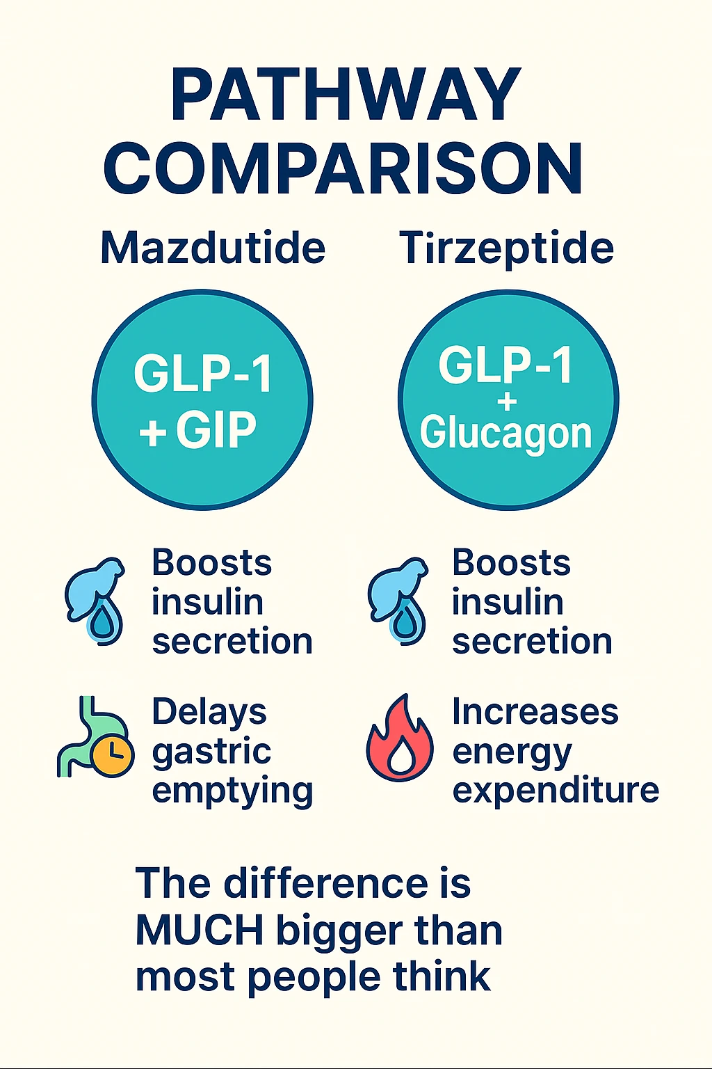 Archived two-column Mazdutide and Tirzepatide receptor chart; read the article's evidence note alongside the original labels.
