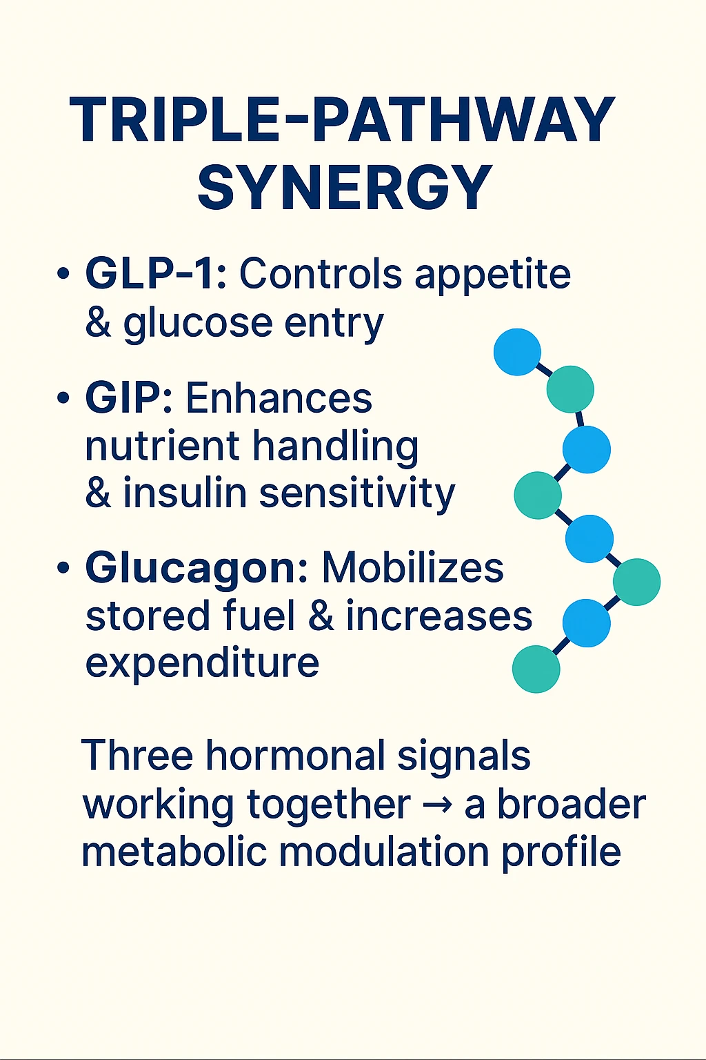 Retatrutide triple-pathway overview naming GLP-1, GIP and glucagon.