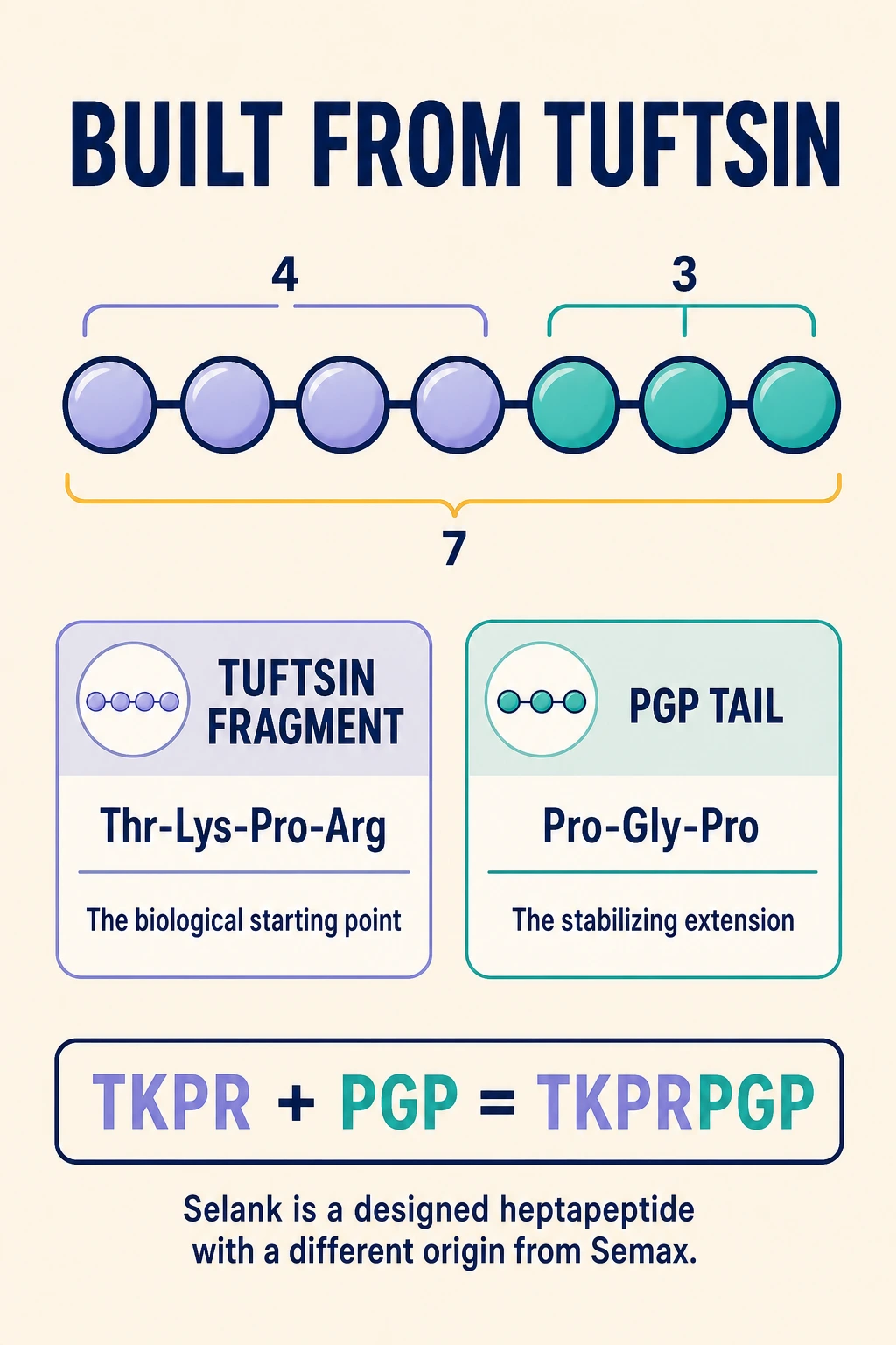 Selank's seven-amino-acid design shown as a tuftsin-related fragment plus a Pro-Gly-Pro tail.