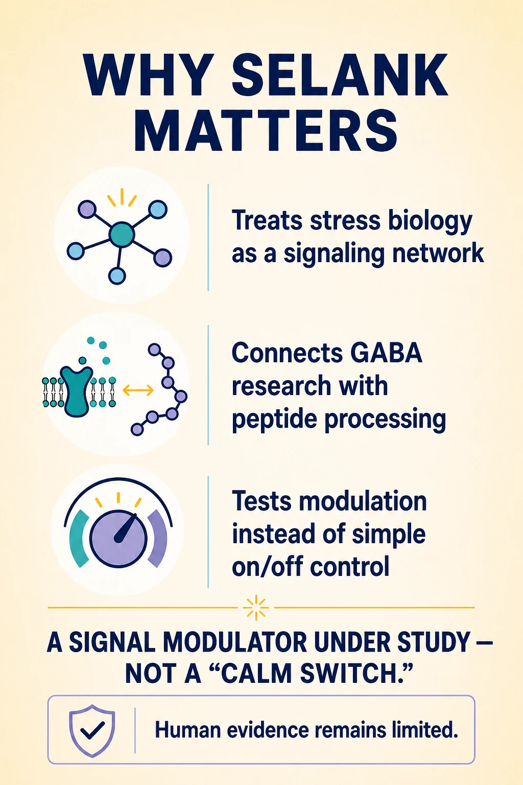 Selank research summary connecting GABA, peptide processing and limits of human evidence.