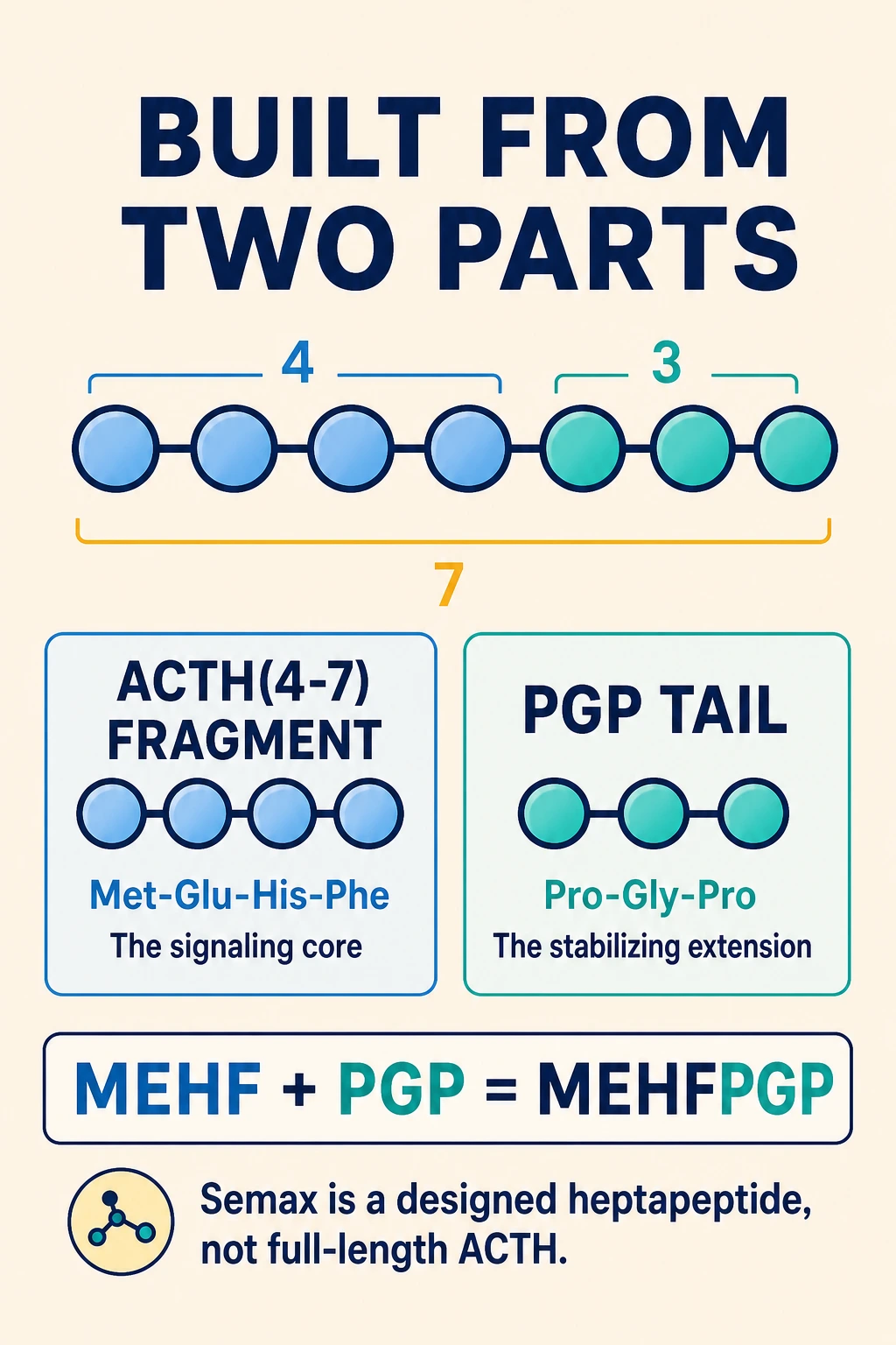 Semax sequence diagram combining an ACTH-related four-amino-acid fragment with a Pro-Gly-Pro tail.