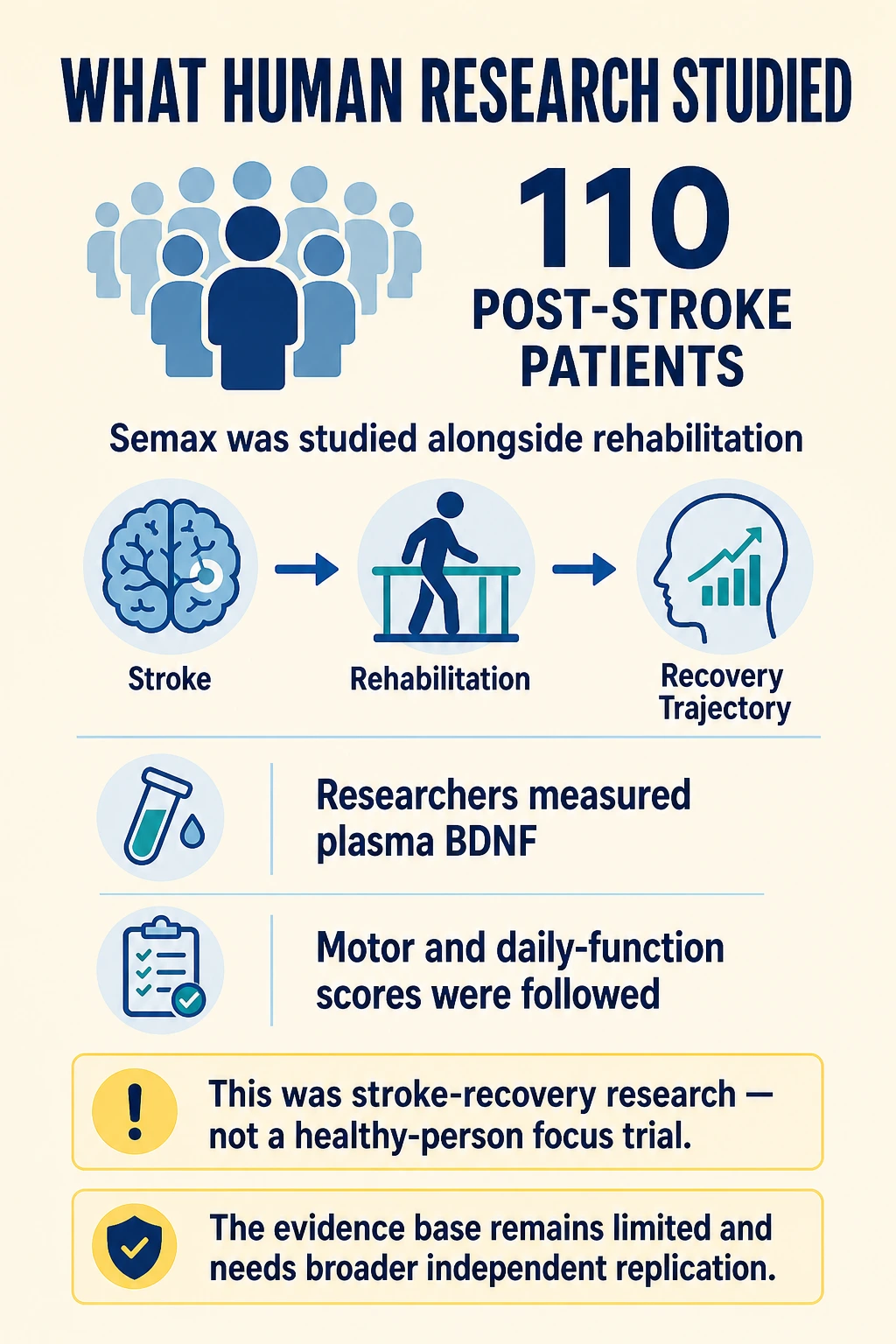 Semax human-study illustration showing post-stroke rehabilitation and measured outcomes, with evidence limitations.