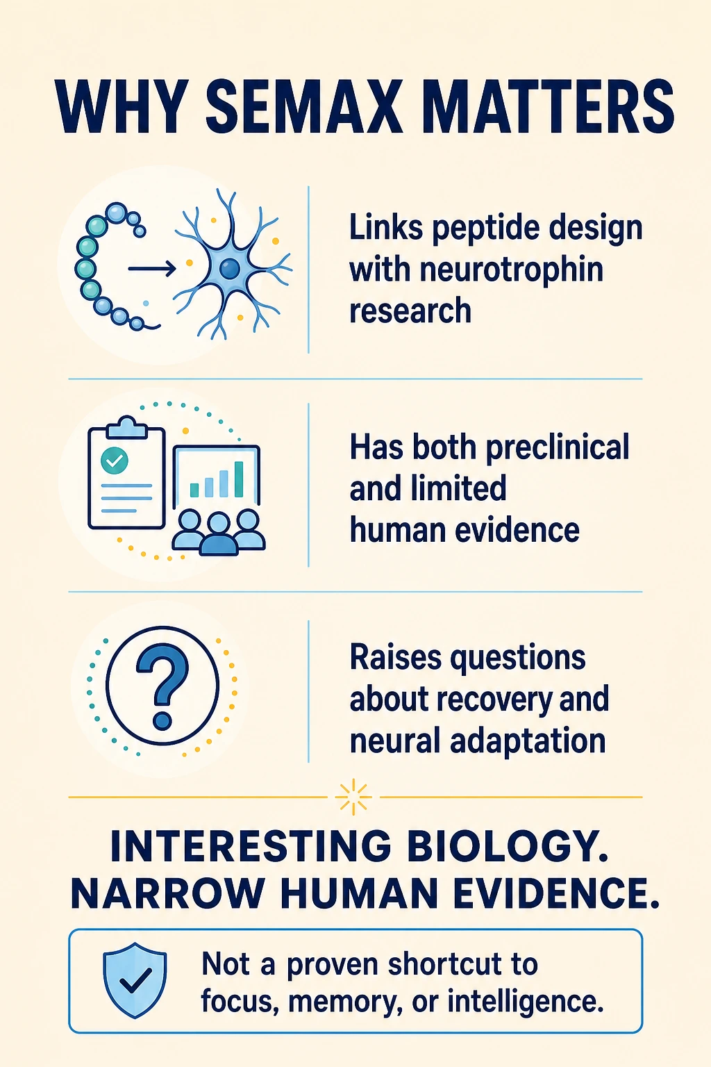 Semax research summary linking peptide design, neurotrophin studies and narrow human evidence.