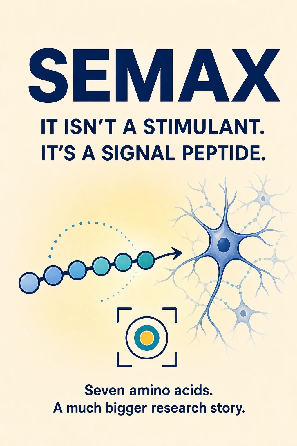 Semax cover showing a seven-unit peptide chain, a neuron and a focus symbol.