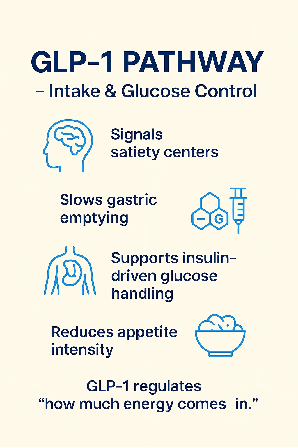 Brain, stomach and pancreas icons in the Survodutide GLP-1 pathway explainer.